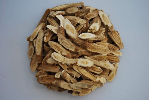 Astragalus Root