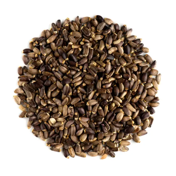 Milk Thistle Seed